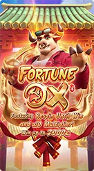 55r · Fortune Ox